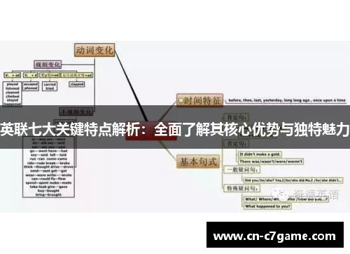 英联七大关键特点解析：全面了解其核心优势与独特魅力