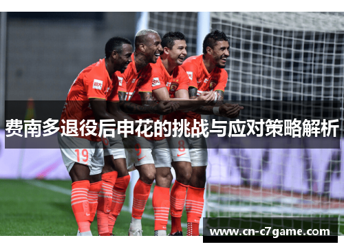 费南多退役后申花的挑战与应对策略解析