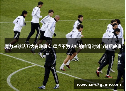 魔力鸟球队五大有趣事实 盘点不为人知的传奇时刻与背后故事