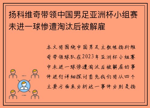 扬科维奇带领中国男足亚洲杯小组赛未进一球惨遭淘汰后被解雇
